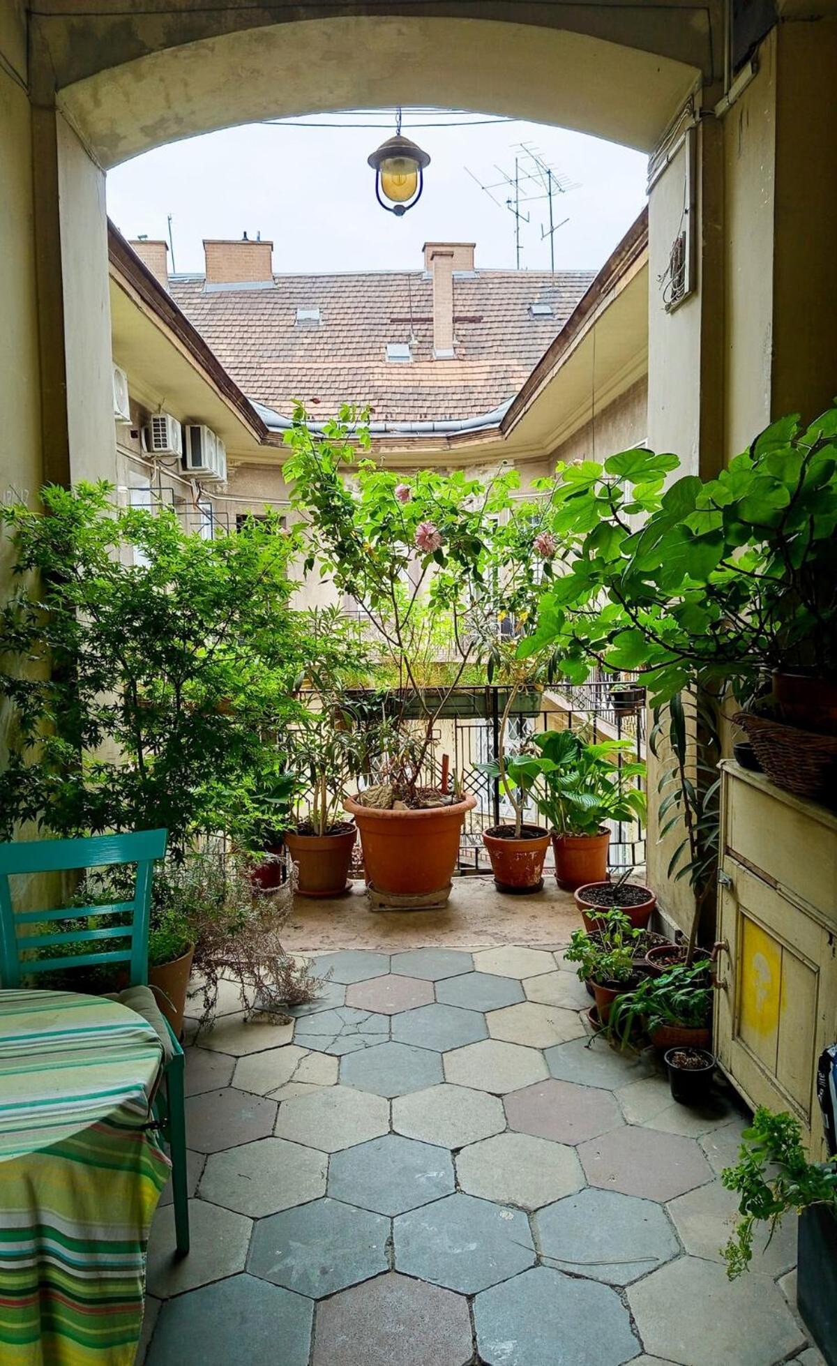 Vagabond's Urban Dream *